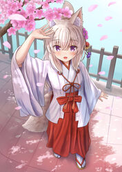  :d absurdres animal_ear_fluff animal_ears arm_up blush branch brown_footwear brown_hair cherry_blossoms commentary_request female flower fox_ears fox_girl fox_tail hair_between_eyes hakama hakama_skirt highres iroha_(iroha_matsurika) japanese_clothes kimono koyoi_(iroha_(iroha_matsurika)) long_hair long_sleeves looking_at_viewer miko original outdoors petals pink_flower ponytail purple_eyes railing red_hakama sandals skirt sleeves_past_wrists smile socks solo standing tabi tail very_long_hair white_kimono white_socks wide_sleeves zouri 