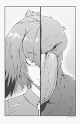  bird closed_mouth commentary creature_and_personification english_commentary feather_hair female greyscale jitome kemono_friends looking_at_viewer medium_hair monochrome necktie portrait shoebill shoebill_(kemono_friends) solo staring straight-on twitter_username tyrone 