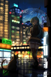  :o blurry bokeh breasts building city commentary_request depth_of_field feline female full_body green_eyes green_hair hair_between_eyes hair_ornament hairclip highres holding holding_umbrella jacket kantai_collection long_hair looking_at_another looking_back maku_ro miniskirt night outdoors pleated_skirt rain reflective_pavement skindentation skirt solo suzuya_(kancolle) sweater thighhighs transparent transparent_umbrella umbrella walking wet_pavement zettai_ryouiki 