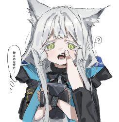 BBooru / rosmontis_(arknights)
