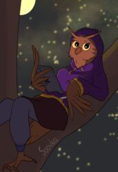  anthro avian bird female hi_res moon night owl plant solo soovka soovka_(character) star tree 