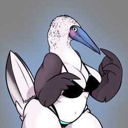  1:1 2021 4_fingers anthro asianpie avian beak belly big_breasts bikini biped bird black_eyes blue-footed_booby blush booby_(bird) bottomwear breasts cleavage clothed clothing curvy_figure digital_media_(artwork) feather_hands feathered_wings feathers female fingers front_view fully_clothed gradient_background grey_background grey_beak grey_body grey_feathers hi_res humor looking_at_viewer midriff multicolored_body multicolored_feathers navel non-mammal_breasts pun shaded signature simple_background skimpy slightly_chubby slightly_chubby_anthro slightly_chubby_female solo sulid swimwear tail tail_feathers thick_thighs topwear two_tone_body two_tone_feathers visual_pun voluptuous white_body white_feathers wide_hips wings 