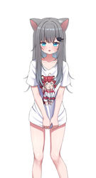  &gt;:( absurdres akami_karubi animal_ears blue_eyes cat_ears cat_girl character_print commentary embarrassed female grey_hair harupuri913 highres indie_virtual_youtuber long_hair looking_at_viewer nachoneko nervous_smile no_pants oerba_yun_fang shirt shirt_tug simple_background skin_fang smile sweat v-shaped_eyebrows virtual_youtuber white_background white_shirt 