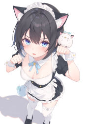  animal_ear_hairband animal_ears apron arisugawa_riu bird bird_on_hand black_dress black_footwear black_hair blue_eyes breasts cat_ear_hairband cat_ears cleavage commentary_request dress fake_animal_ears female hair_between_eyes hairband highres loafers maid maid_apron maid_headdress medium_breasts original paid_reward_available partial_commentary paw_pose puffy_short_sleeves puffy_sleeves rebun shoes short_dress short_hair short_sleeves simple_background solo thighhighs v-shaped_eyebrows white_background white_thighhighs zettai_ryouiki 