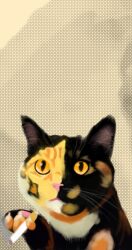  &iquest;quieres? 9:17 :3 digital_drawing_(artwork) digital_media_(artwork) domestic_cat felid feline felis feral foxstep_(artist) fur gesture hand_gesture hi_res looking_at_viewer male mammal meme multicolored_body multicolored_fur solo tortoiseshell_cat yellow_eyes 