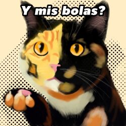  ambiguous_gender asking_viewer claws digital_drawing_(artwork) digital_media_(artwork) domestic_cat felid feline felis feral foxstep_(artist) looking_at_viewer mammal meme pupils slit_pupils solo spanish_text talking_to_viewer text tortoiseshell_cat translation_request yellow_eyes 