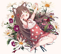  animal_ear_fluff animal_ears bad_id bad_pixiv_id bare_legs barefoot blush brown_hair collar commentary daisy dianthus dolphro-kun dress eyebrows female fingernails flower full_body green_eyes hair_ornament hair_ribbon highres lolicon long_hair looking_at_viewer oerba_yun_fang one_eye_closed open_mouth original outstretched_arms paper polka_dot polka_dot_dress ribbon sitting skin_fang solo stretching symbol-only_commentary tears white_background yawning 