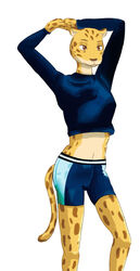  alexandliberty anthro athletic athletic_anthro athletic_female athletic_wear beastars bottomwear brown_eyes cheetah clothing crop_top felid feline female fur gym_bottomwear gym_shorts hi_res mammal midriff navel sheila_(beastars) shirt shorts solo sportswear stain textured_clothing topwear yellow_body yellow_fur 