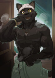  anthro clothing curtis_wuedti domestic_cat elias_(the_house) felid feline felis hat headgear headwear hi_res male mammal muscular muscular_male netflix solo steam the_house_(netflix) towel towel_around_waist towel_only yellow_eyes 