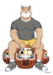  alpha_channel anthro bulge canid canine canis clothing daruma domestic_dog gaouu hi_res male mammal muscular muscular_anthro muscular_male pongotora rugby shiba_inu simple_background solo spitz tora_(pongotora) transparent_background uniform 