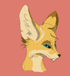  anthro canid canine fennec_fox fox headshot_portrait male mammal portrait solo tilo true_fox 