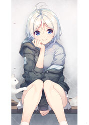  .live ahoge animal antenna_hair between_legs blue_eyes closed_mouth dennou_shoujo_siro feet_out_of_frame feline female grey_background grey_sweater hand_between_legs head_rest highres hood hood_down hooded_jacket hoodie jacket knees_together_feet_apart looking_at_viewer nijihashi_sora off_shoulder page_number photoshop_(medium) shiny_skin short_hair simple_background sitting skirt smile socks solo sweater turtleneck virtual_youtuber white_cat white_hair white_socks 