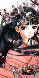  black_hair cherry_blossoms chibigou female green_eyes japanese_clothes kimono original solo watermark 