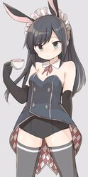  adapted_costume alternate_costume animal_ears argyle arm_behind_back asashio_(kancolle) bad_id bad_twitter_id bare_shoulders black_gloves black_hair black_thighhighs blue_eyes breasts coattails commentary_request cup elbow_gloves fake_animal_ears female gloves grey_background highres holding holding_cup kantai_collection long_hair looking_at_viewer maid_headdress murakami_meishi neck_ribbon playboy_bunny rabbit_ears red_ribbon ribbon simple_background small_breasts solo teacup thighhighs 