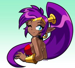  5_fingers blue_eyes breasts clothing dark_body dark_skin female fingers genie hair humanoid humanoid_pointy_ears long_hair not_furry one_eye_closed ponytail purple_hair rongs1234 shantae shantae_(series) signature simple_background smile solo wayforward wink 