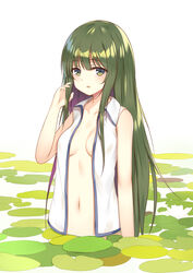  bare_arms bare_shoulders blush breasts collarbone commentary cowboy_shot female flan_(seeyouflan) green_eyes green_hair hand_in_own_hair hand_up highres ke-ta_(style) kochiya_sanae lily_pad long_hair looking_at_viewer medium_breasts navel open_clothes open_shirt parted_lips photoshop_(medium) shirt sidelocks simple_background sleeveless sleeveless_shirt solo stomach touhou very_long_hair wading white_background white_shirt wing_collar 