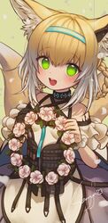  animal_ear_fluff animal_ears arknights blonde_hair blue_hairband blush breasts dress female flower fox_ears fox_girl fox_tail frills green_eyes hairband head_wreath highres holding ice_s_s_z infection_monitor_(arknights) korean_commentary looking_at_viewer material_growth multicolored_hair multiple_tails open_mouth oripathy_lesion_(arknights) signature simple_background small_breasts solo suzuran_(arknights) tail teeth upper_teeth_only white_flower white_hair 