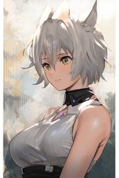  animal_ears breasts cat_ears cat_girl chest_jewel clothing_cutout core_crystal_(xenoblade) diamond_cutout female grey_hair hair_between_eyes highres j@ck large_breasts messy_hair na&#039;el_(xenoblade) short_hair shorts solo upper_body xenoblade_chronicles_(series) xenoblade_chronicles_3 xenoblade_chronicles_3:_future_redeemed yellow_eyes 