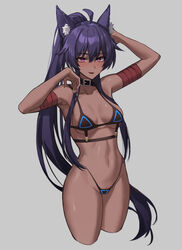  absurdres ahoge animal_ears arm_wrap armpits bad_id bad_pixiv_id bare_shoulders belt belt_collar bikini black_belt black_bikini black_collar blush borrowed_character breasts brown_kemomimi-chan_(krr) collar collarbone cropped_legs dark-skinned_female dark_skin dungeon_and_fighter female grey_background groin hair_between_eyes highleg highleg_bikini highres long_hair looking_at_viewer medium_breasts micro_bikini navel open_mouth original pink_eyes ponytail purple_eyes purple_hair sidelocks simple_background smile solo stomach swimsuit thighs very_long_hair yareen 