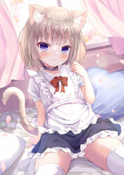  animal_ear_fluff animal_ears apron arm_support black_collar black_skirt bow brown_hair cat_ears cat_girl cat_tail closed_mouth collar curtains day diagonal_stripes female frilled_apron frills heart heart-shaped_pillow indoors looking_at_viewer original panties petals pillow purple_eyes red_bow shirt skirt solo striped striped_pillow sunlight tail thighhighs umi_suzume underwear white_apron white_panties white_shirt white_thighhighs window 