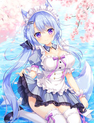  ameto_yuki animal_ears apron ass blue_dress blue_hair blue_skirt blurry blurry_background blush branch breasts cherry_blossoms cleavage closed_mouth commentary_request dress falling_leaves female flower frilled_apron frilled_dress frilled_skirt frills hair_between_eyes hair_ornament hair_ribbon hairclip hairpin hand_up kitsune-san_(ameto_yuki) large_breasts leaf long_hair looking_at_viewer maid maid_apron maid_headdress medium_breasts original petals pink_flower ponytail purple_eyes ribbon shoes skirt smile solo tail thighhighs thighs water waves waving white_apron 