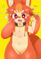  2021 ambiguous_gender belly_tuft blush blush_lines bodily_fluids body_blush canid canine collar cute_fangs dinogaize fox fur hair inner_ear_fluff japanese_text kemono looking_at_viewer mammal multicolored_body navel onomatopoeia open_mouth orange_body orange_fur orange_hair raised_arm red_eyes saturated_colors simple_background solo sound_effects tears text tokonatsu_(nikomi1080) tuft two_tone_body white_body white_fur yellow_background 