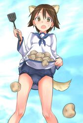  :o animal_ears aohashi_ame ass_visible_through_thighs blouse blue_neckerchief blue_sky blurry blurry_foreground brown_eyes brown_hair cloud cloudy_sky commentary_request crotch_seam day depth_of_field dog_ears dog_girl dog_tail female highres holding holding_spatula long_sleeves miyafuji_yoshika neckerchief open_mouth outdoors potato sailor_collar school_swimsuit school_uniform shirt shirt_basket short_hair skirt_basket sky solo spatula strike_witches swimsuit swimsuit_under_clothes tail thighs white_shirt world_witches_series 