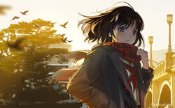  artist_name ashiyafuku bird black_hair blue_eyes city evening female floating_hair grey_jacket hand_in_pocket holding holding_clothes holding_scarf jacket lens_flare looking_at_viewer new_year original outdoors parted_lips scarf school_uniform serafuku short_hair solo tree 