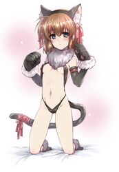  animal_ears animal_hands bed_sheet bikini black_bikini black_footwear black_gloves blue_eyes bow breasts brown_hair cat_tail closed_mouth commentary_request cosplay elbow_gloves expressionless fake_animal_ears fake_tail fate/kaleid_liner_prisma_illya fate_(series) female frown full_body fur_collar gloves groin illyasviel_von_einzbern illyasviel_von_einzbern_(beast_style) illyasviel_von_einzbern_(beast_style)_(cosplay) illyasviel_von_einzbern_(cosplay) kneeling kuroi_mimei looking_at_viewer lyrical_nanoha mahou_shoujo_lyrical_nanoha mahou_shoujo_lyrical_nanoha_a&#039;s mahou_shoujo_lyrical_nanoha_a&#039;s_portable:_the_battle_of_aces medium_hair navel official_alternate_costume on_bed paw_gloves paw_shoes red_ribbon ribbon small_breasts stern_the_destructor swimsuit tail tail_bow tail_ornament tail_ribbon 