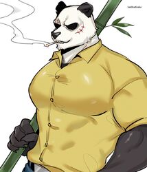  5_fingers anthro bamboo bear beastars belt big_pecs black_body black_fur cigarette clothed clothing facial_scar fingers fur giant_panda gouhin_(beastars) hi_res humanoid_hands kadikadisake male mammal multicolored_body multicolored_fur muscular muscular_anthro muscular_male pecs scar signature simple_background smoking solo topwear triceps two_tone_body two_tone_fur white_background white_body white_fur 