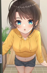  absurdres ahoge alternate_costume black_shorts blue_eyes blue_shorts blush breasts brown_hair commentary crop_top cropped_hoodie doorway entrance eyelashes feet_out_of_frame female from_outside highres hisui_(user_zvkr2432) hololive hood hoodie looking_at_viewer medium_breasts midriff navel oozora_subaru open_door open_mouth plant potted_plant short_hair short_shorts shorts solo standing swept_bangs tile_floor tiles virtual_youtuber wooden_floor yellow_hoodie 