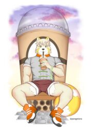  anthro asian_clothing beverage bubble_tea chinese_clothing clothing east_asian_clothing gaouu hi_res male mammal pongotora procyonid raccoon sky solo 