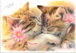 2010 ambiguous_gender closed_eyes colored_pencil_(artwork) cuddling domestic_cat duo felid feline felis feral flower fur kaminaga_mutsumi mammal petals photorealism plant signature sleeping tabby_cat traditional_media_(artwork)