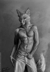 2012 anthro biped bottomwear canid canine clothing denim denim_bottomwear denim_clothing eosfoxx fox front_view fur grey_theme greyscale jaryic jeans looking_at_viewer male mammal monochrome nude pants realistic solo standing tail whiskers