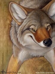 2003 abstract_background ambiguous_gender canid canine canis coyote feral kyoht_luterman mammal quadruped simple_background smile solo