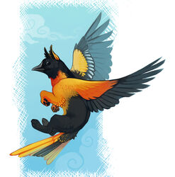 2012 ambiguous_gender avian baltimore_oriole beak bird black_body black_feathers cloud demicoeur digital_media_(artwork) feathered_wings feathers feral flying gryphon icterid mythological_avian mythological_creature mythology new_world_oriole orange_body orange_feathers oscine outside passerine pawpads paws sky skyscape solo wings