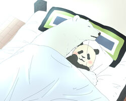 2012 5:4 bear bed blush body_pillow closed_eyes cuddling duo feral furniture giant_panda hug kumao male mammal okatana panda-kun pillow polar_bear shirokuma shirokuma_cafe sleeping slightly_chubby ursine