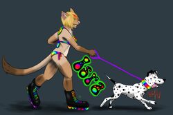 ambiguous_gender anthro back-tie_bikini back-tie_clothing back-tie_swimwear bikini canid canine canis clothed clothing collar colorful_theme dalmatian domestic_cat domestic_dog domestic_pet duo felid feline felis female footwear hair inline_skates isra_malai_(gingerm) lgbt_pride mammal multicolored_bikini multicolored_clothing multicolored_collar multicolored_footwear multicolored_swimwear name_badge neck-tie_bikini neck-tie_clothing neck-tie_swimwear orange_hair pride_color_accessory pride_color_bikini pride_color_clothing pride_color_collar pride_color_footwear pride_color_swimwear pride_colors rainbow rainbow_collar rainbow_pride_clothing rainbow_pride_collar rainbow_pride_colors rainbow_symbol roller_skates seven-stripe_rainbow_pride_colors siamese side-tie_bikini side-tie_clothing side-tie_swimwear skating skimpy string_bikini swimwear tail tight_clothing undeadromance