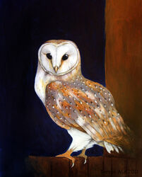 2011 ambiguous_gender avian barn_owl bird denoyelle feathers feral looking_at_viewer owl signature solo tyto tytonid