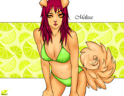 2012 anthro bikini bottomwear canid canine canis clothed clothing domestic_dog eliana-asato female food fruit green_bottomwear green_clothing green_topwear hair lemon lime mammal melissa_(disambiguation) plant red_hair skimpy solo swimwear tail topwear underwear yellow_eyes