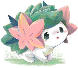 ambiguous_gender back_plant back_shrub blush chibifur elemental_creature feral flora_fauna flower flower_(anatomy) generation_4_pokemon green_eyes head_flower kemono land_forme_shaymin legendary_pokemon nintendo open_mouth plant pokemon pokemon_(species) roamo shaymin simple_background solo white_background