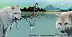 2009 ambiguous_gender antlers black_nose bust_portrait canid canine canis digital_media_(artwork) digital_painting_(artwork) duo feral fluffy fog fur half-length_portrait horn jewelry khaosdog lake looking_at_viewer looking_back mammal moon mountain mouth_hold nature necklace night outside pendant plant portrait reflection scenery sky text tree url water wolf wolf-of-samhain wood