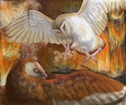 2010 6:5 ambiguous_gender avian barn_owl bird brown_body brown_feathers detailed_background digital_media_(artwork) digital_painting_(artwork) duo feathered_wings feathers feet feral fire flying forest_fire guardians_of_ga&#039;hoole hi_res nyra_(gogh) outside owl plant scared shaded soren_(gogh) talons tan_body tan_feathers teezgeez toes tree true_owl tyto tytonid white_body white_feathers wings