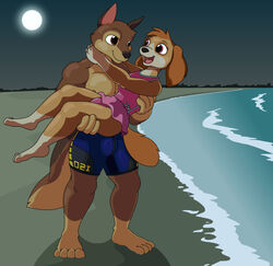  2021 abs anthro beach bridal_carry canid canine canis carrying chase_(paw_patrol) clothing domestic_dog duo female fur german_shepherd herding_dog hi_res love male male/female mammal moon muscular muscular_male night outside pastoral_dog paw_patrol romantic romantic_ambiance romantic_couple sand seaside sheepdog sky skye_(paw_patrol) smile standing swimwear water yipthecoyotepup 