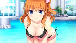  akino_subaru aoi_hinata_(gin&#039;iro_haruka) bare_arms bikini black_bikini black_ribbon blue_eyes bow breasts brown_hair cleavage closed_mouth collarbone day female game_cg gin&#039;iro_haruka hair_between_eyes hairbow large_breasts leaning_forward lens_flare long_hair looking_at_viewer outdoors pink_bow polka_dot polka_dot_bow pool ribbon side-tie_bikini_bottom side_ponytail smile solo sparkle swimsuit 