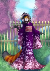  ailurid anthro asian_clothing blossoms cherry_blossom clothing east_asian_clothing female flower garden hi_res japanese_clothing keisha_makainn kimono mammal pipe plant prunus_(flower) red_panda smoke smoking_pipe solo 