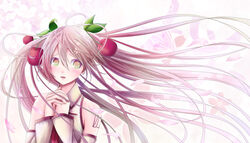  cherry_blossoms commentary_request detached_sleeves female hair_between_eyes hair_fruit hatsune_miku kentaurosu long_hair own_hands_together pink_hair sakura_miku solo upper_body vocaloid 