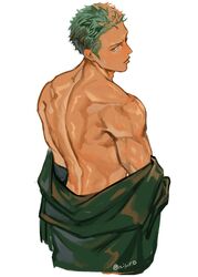  1boy back bare_back coat green_coat green_hair highres looking_at_viewer looking_back male_focus muscular muscular_male nisir0 one_piece open_clothes roronoa_zoro short_hair simple_background solo tan white_background 