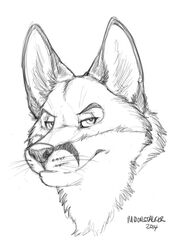 2014 anthro big_ears canid canine digital_drawing_(artwork) digital_media_(artwork) fox fur greyscale headshot_portrait looking_aside male mammal monochrome portrait richard_foley sketch solo