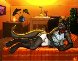 anthro azsola bedroom book canid canine clothing female fox hi_res inside looking_at_viewer mammal melanistic shena solo